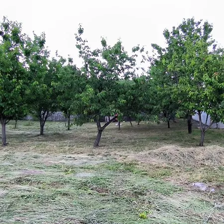 Anteana Vrlika Split Maovice