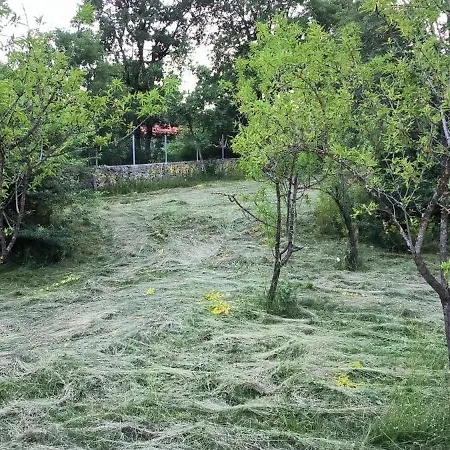 Anteana Vrlika Split * Maovice