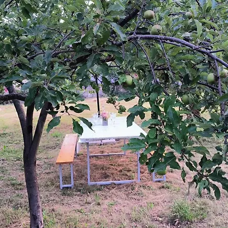 Anteana Vrlika Split Apartman Maovice