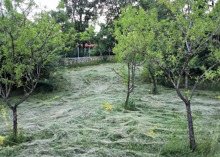Anteana Vrlika Split * Maovice