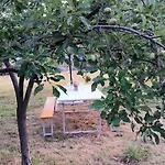 Anteana Vrlika Split 公寓 Maovice